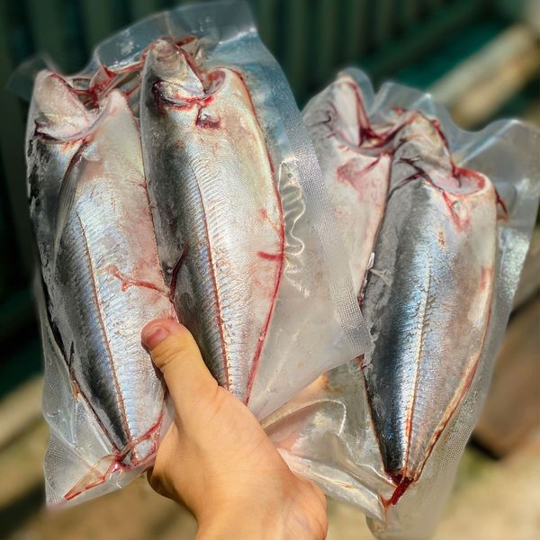 Cá sòng Phú Yên làm sạch