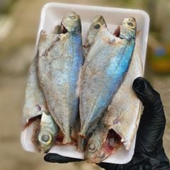 Cá trác Phú Yên làm sạch