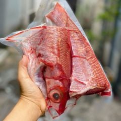 Cá đổng hồng nguyên con