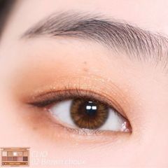 Phấn mắt Clio Pro Eye 10 Ô #02 Brown Choux