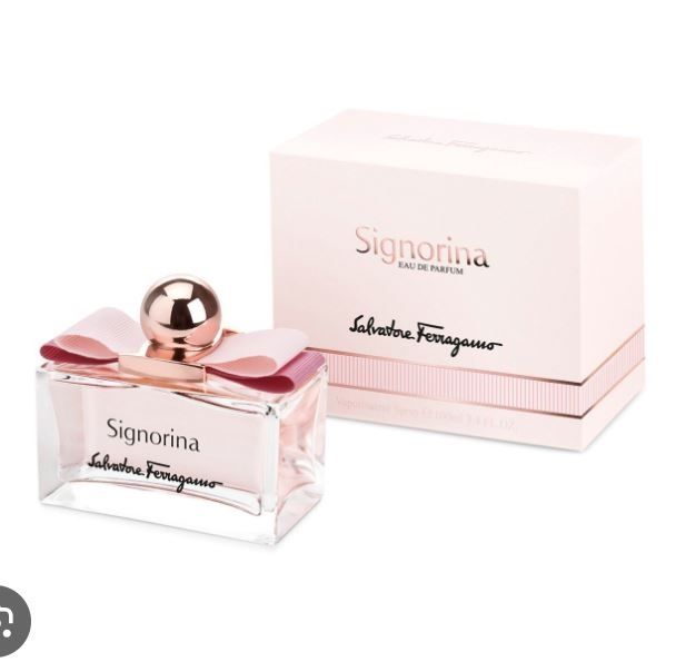 Salvatore - Signorina Ferragamo EDP 100ml ( Ko tđ )