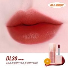 Son Kem Black Rouge Double Layer Over Velvet Ver 4 #DL28
