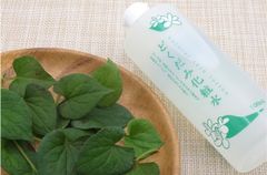 Toner Diếp Cá Dokudami Naturie Skin Lotion 500ml