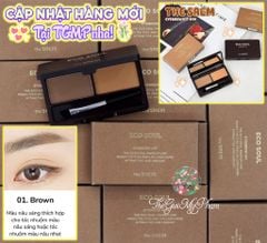 Bột Tán Chân Mày The Saem Eco Soul #01