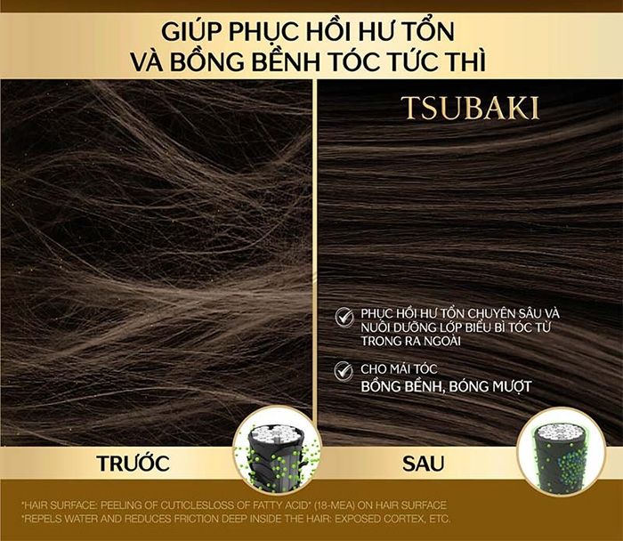 Tsubaki - Xã Phục Hồi Ngăn Rụng 490ml (Chai vàng)