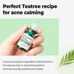 Tinh Dầu Tràm Trà Some By Mi 30 Days Miracle Tea Tree Clear Spot Oil 10ml