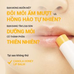 Son Dưỡng Innisfree Canola Honey Lip Balm 3.5g