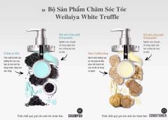 Weilaiya - Bộ Dầu Gội Xả Phục Hồi Đa Tầng Nấm Truffle Weilaiya 450ml x 2 ( ko tđ)