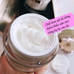 Kem Phục Hồi Tái Tạo Da Nấm Trắng Vento Vivere White Truffle Regeneration Cream Thụy Sĩ 50ml (Ko tđ)
