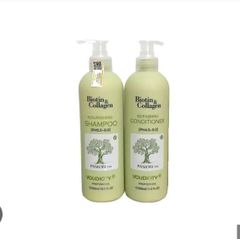 Bộ Gội+Xã Biotin & Collagen 1000ml/Chai (Xanh Lá)