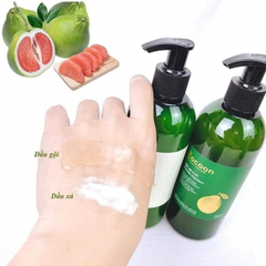 Cocoon - Dầu Gội Bưởi 310ml