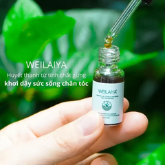 Weilaiya - Tinh Chất Kích Thích Mọc Tóc 5ml x 8 chai ( ko tđ)