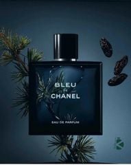 Nước Hoa Nam Chanel Bleu EDP 100ml (Chữ Trắng) Ko Tđ