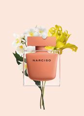 Narciso Rodriguez - Ambree EDP 50ml (Ko tđ)