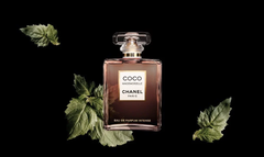 Chanel - Coco Mademoiselle EDP Intense 100ml ( ko tđ)