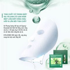 Mặt Nạ Dưỡng Ẩm Phục Hồi Da Weilaiya Skin Moisturizing Từ Cỏ Thực Vật Vạn Năm