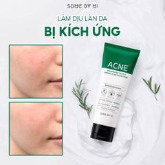 Some By Mi - SRM Acne 100ml