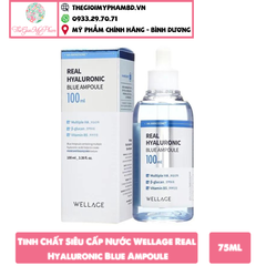 Tinh Chất Siêu Cấp Nước Wellage Real Hyaluronic Blue Ampoule 75ml