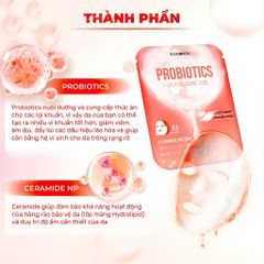 Mặt Nạ Fodaholic Mẫu Mới #Probiotics + X8 HA