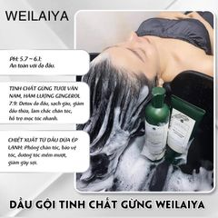 Set Gội Xã Gừng Weilaiya 400ml+250ml