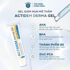 Gel Trị Mụn - Giảm Thâm Actidem Derma Gel 18g