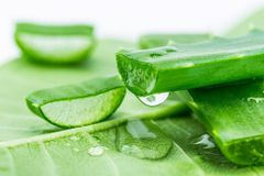 Mặt Nạ Nature Republic Real Nature Mask Sheet #Aloe