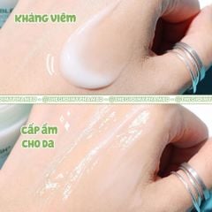 Derladie - Herbal Extract Care Cream 50ml