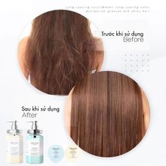 Weilaiya - Bộ Dầu Gội Xả Phục Hồi Đa Tầng Nấm Truffle Weilaiya 450ml x 2 ( ko tđ)