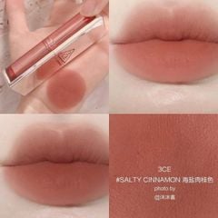 Son Thỏi 3CE Blur Matte Lipstick #Salty Cinnamon