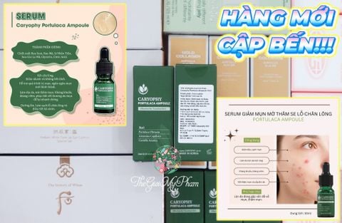 Caryophy - Serum Trị Mụn - Mờ Thâm 10ml