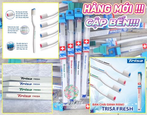 Bàn chải Trisa Thụy Sỹ