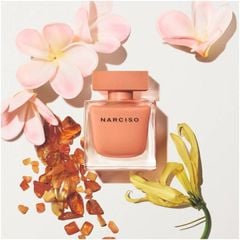 Narciso Rodriguez - Ambree EDP ( chai chiết 10ml)