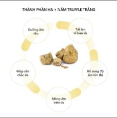 Mặt Nạ d'Alba White Truffle Double Mask Pack Calming & Hydrating