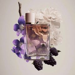 Nước Hoa Nữ Burberry Her EDP 100ml (Ko tđ)