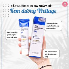 Kem Dưỡng Ẩm Wellage Real Hyaluronic Cream 100 50ml