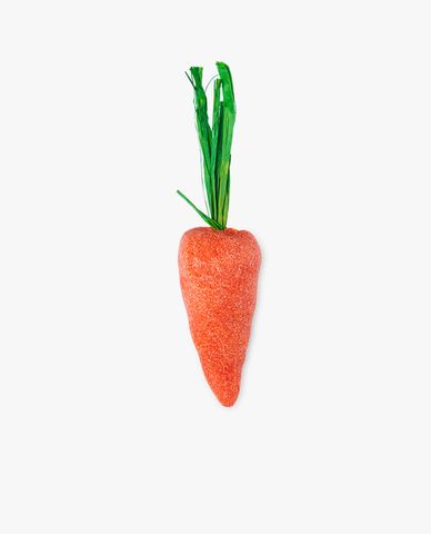  Baby Rainbow Carrot - Orange 