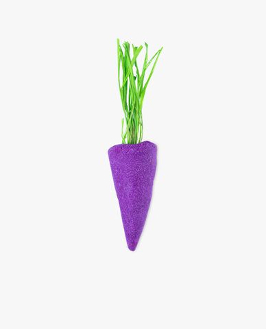  Baby Rainbow Carrot - Purple 