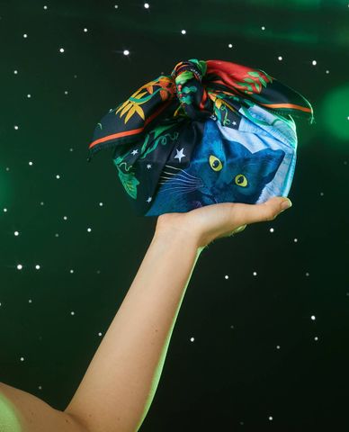  Black Cat In The Moonlight 