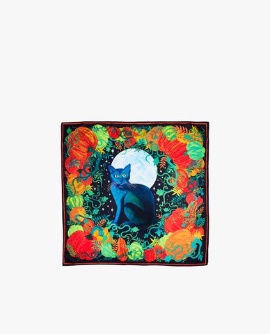  Black Cat In The Moonlight 