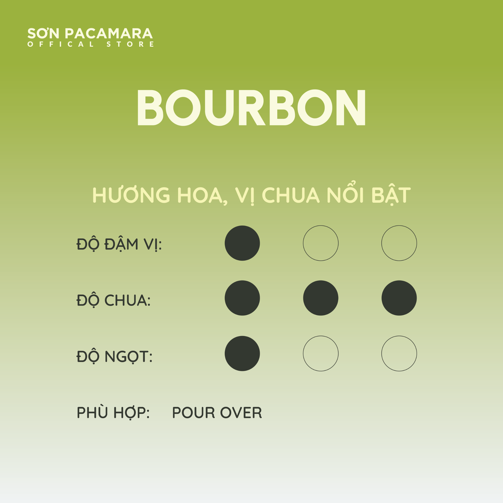 (New Crop 2025) Cà Phê Pour Over Gói Bourbon, 100% Specialty Coffee Đà Lạt, Rang Nhạt, Gói 250gr / 500gr