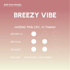 (Cà Mới) Cà Phê Cold Brew Gói Breezy Vibe, Special Blend, 100% Specialty Coffee, Hương Trái Cây, Vị Nhẹ, Rang Vừa, Gói 250gr / 500gr