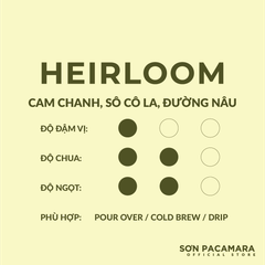 Gói Heirloom - Sơn Farm - Phù Hợp Pour Over / Cold Brew - Rang Nhạt