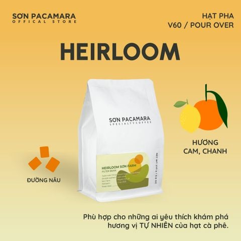 (New Crop 2025) Cà Phê Pour Over Gói Heirloom, 100% Specialty Coffee Đà Lạt, Rang Nhạt, Gói 250gr / 500gr