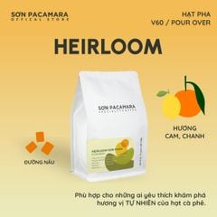 (New Crop 2025) Cà Phê Pour Over Gói Heirloom, 100% Specialty Coffee Đà Lạt, Rang Nhạt, Gói 250gr / 500gr