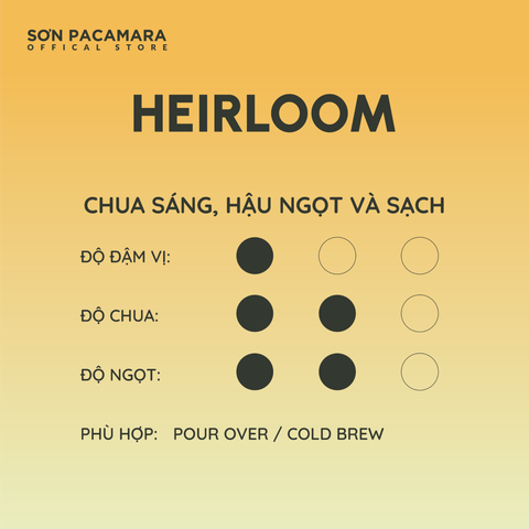 (Tiết kiệm 90K) Combo 1KG Heirloom Gói 250gr/500gr - Phù Hợp Pha Pour Over / Cold Brew