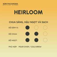 (Tiết kiệm 90K) Combo 1KG Heirloom Gói 250gr/500gr - Phù Hợp Pha Pour Over / Cold Brew