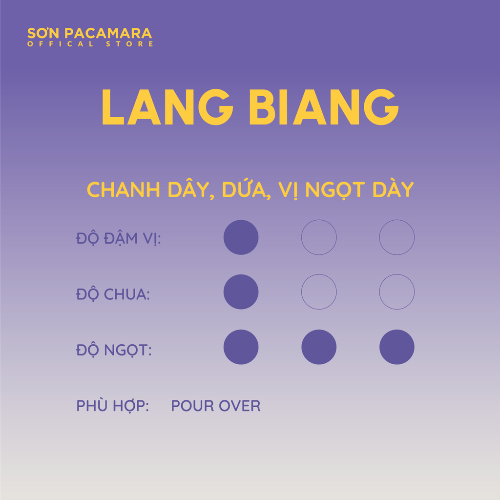 (Tiết kiệm 95K) Combo 1KG Lang Biang Gói 250gr / 500gr - Phù Hợp Pha Pour Over