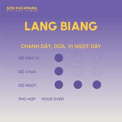 (Tiết kiệm 95K) Combo 1KG Lang Biang Gói 250gr / 500gr - Phù Hợp Pha Pour Over