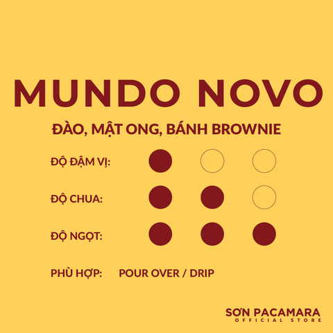 Cà Phê Đặc Biệt Mundo Novo Từ Sơn Farm - Phù Hợp Pour Over - Light Roast