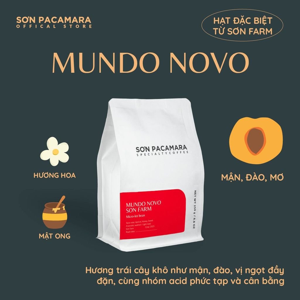 (New Crop 2025) Gói Đặc Biệt Mundo Novo Micro Lot Từ Sơn Farm, Hương Tinh Tế , Rang Nhạt, Gói 100gr/250gr